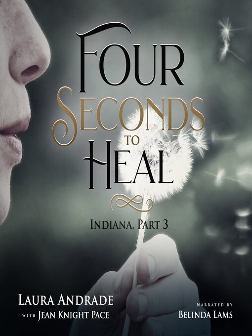 Title details for Four Seconds to Heal by Laura Andrade - Available